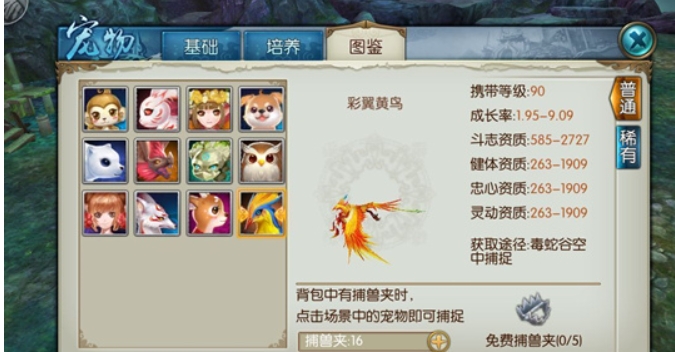 诛仙手游青云宠物加点怎么附灵动1