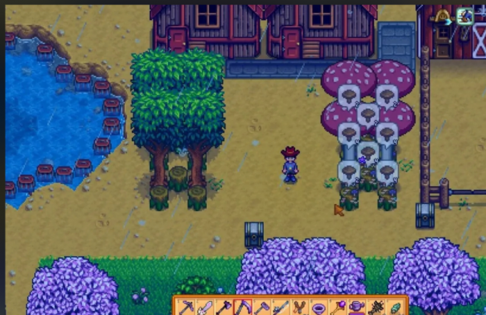 星露谷物语什么农场好2