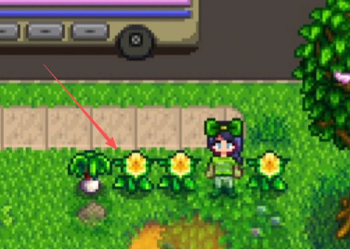 星露谷物语黄水仙有啥用2