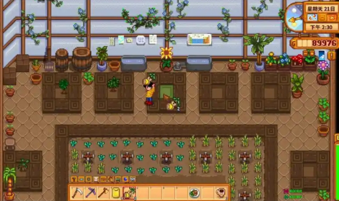 星露谷物语种什么果树最好2