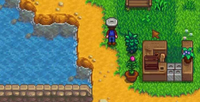 星露谷物语姜岛核桃在哪里2