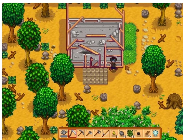 星露谷物语第一年干什么1