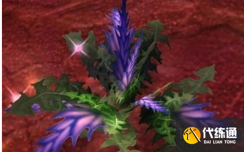 盲目草多少能采_盲目草哪里最多