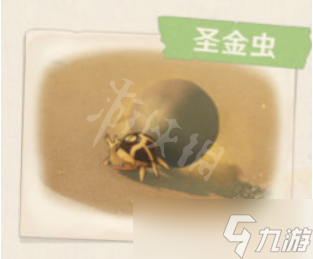 《原神》3.1沙漠有哪些生物和特产？3.1沙漠生物和特产介绍